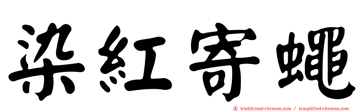 染紅寄蠅