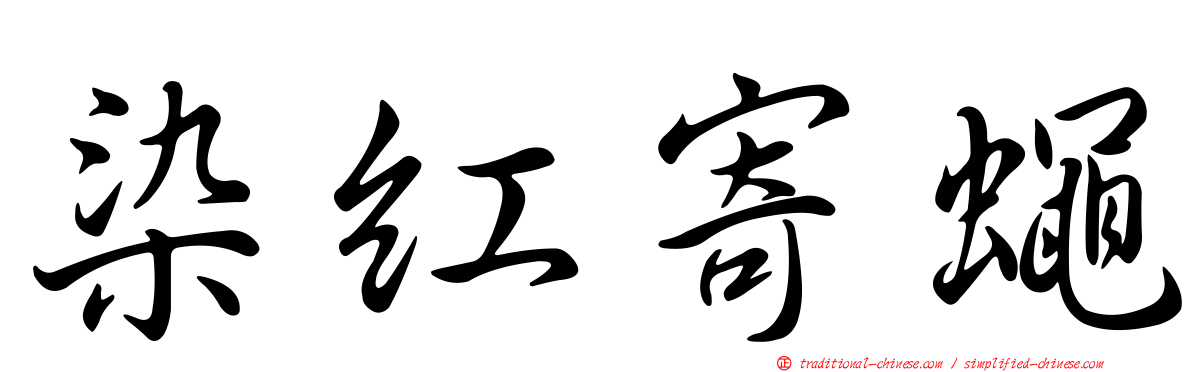 染紅寄蠅
