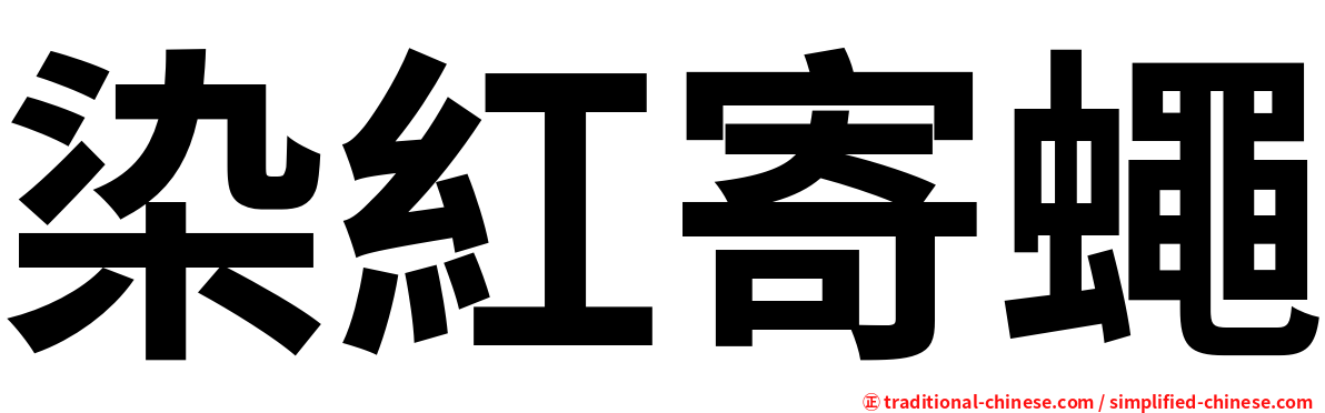 染紅寄蠅