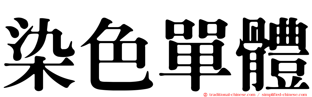 染色單體