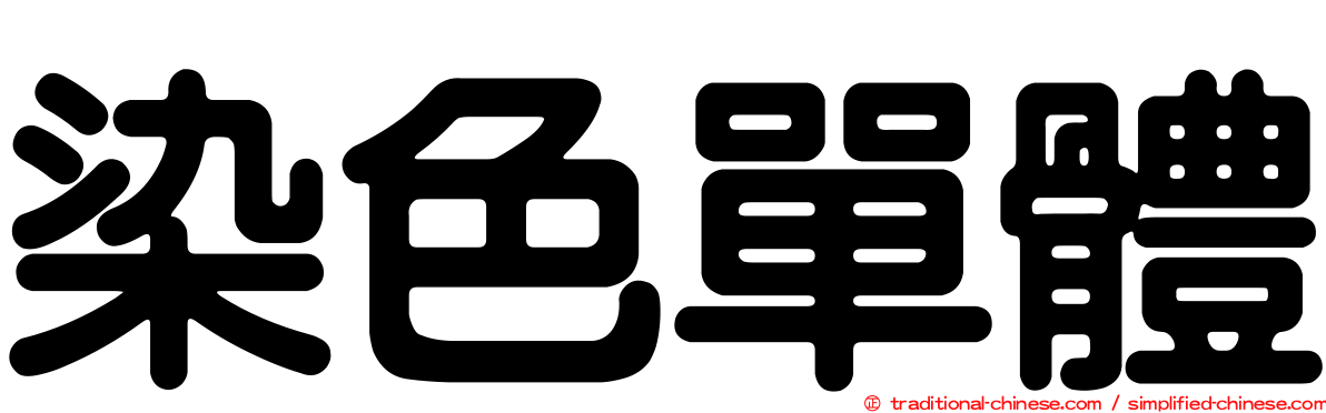 染色單體