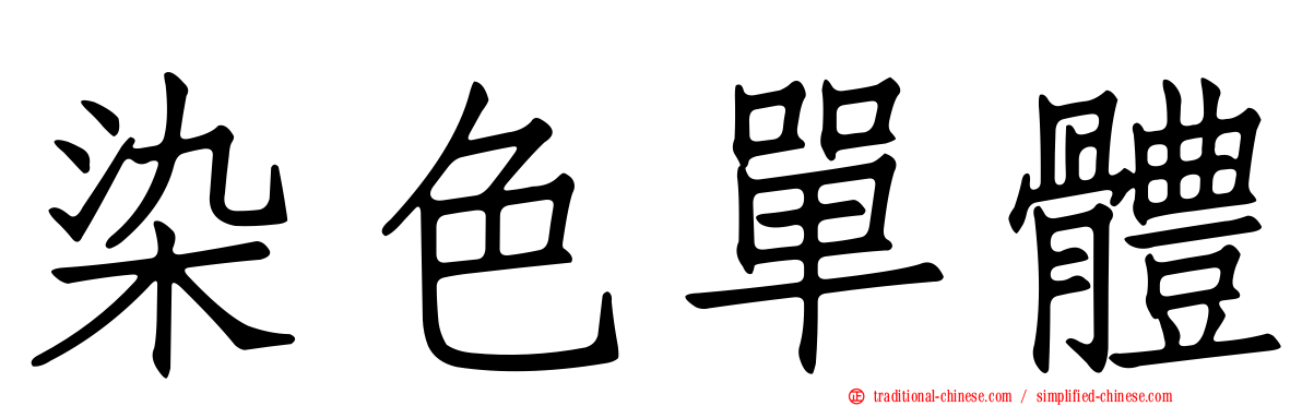 染色單體
