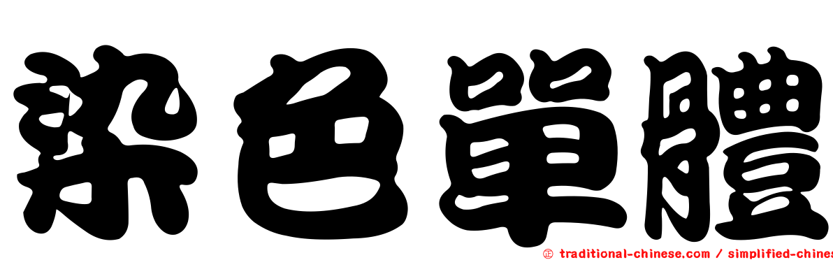 染色單體