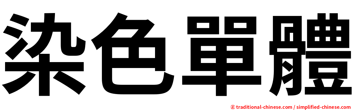 染色單體