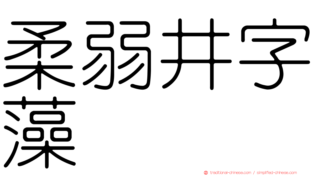 柔弱井字藻
