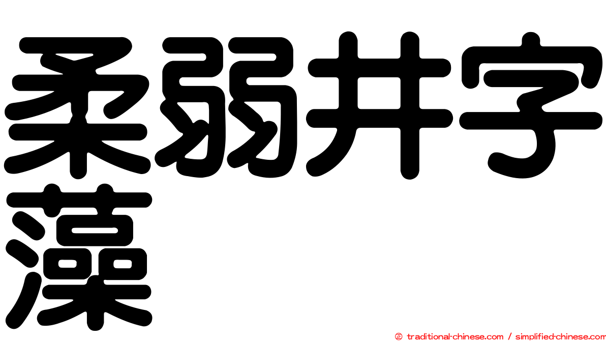 柔弱井字藻