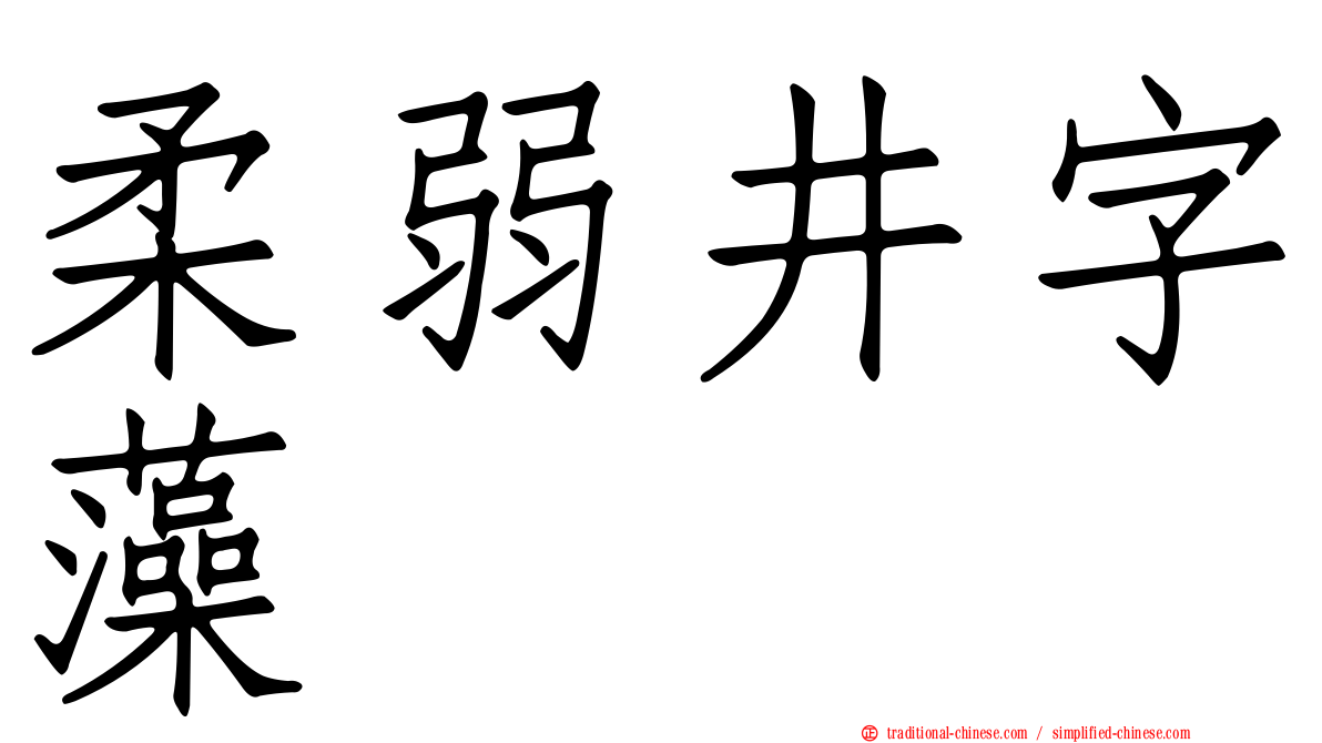 柔弱井字藻