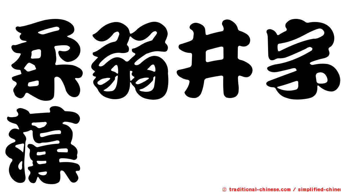 柔弱井字藻