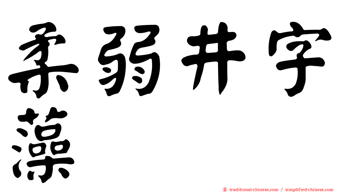 柔弱井字藻