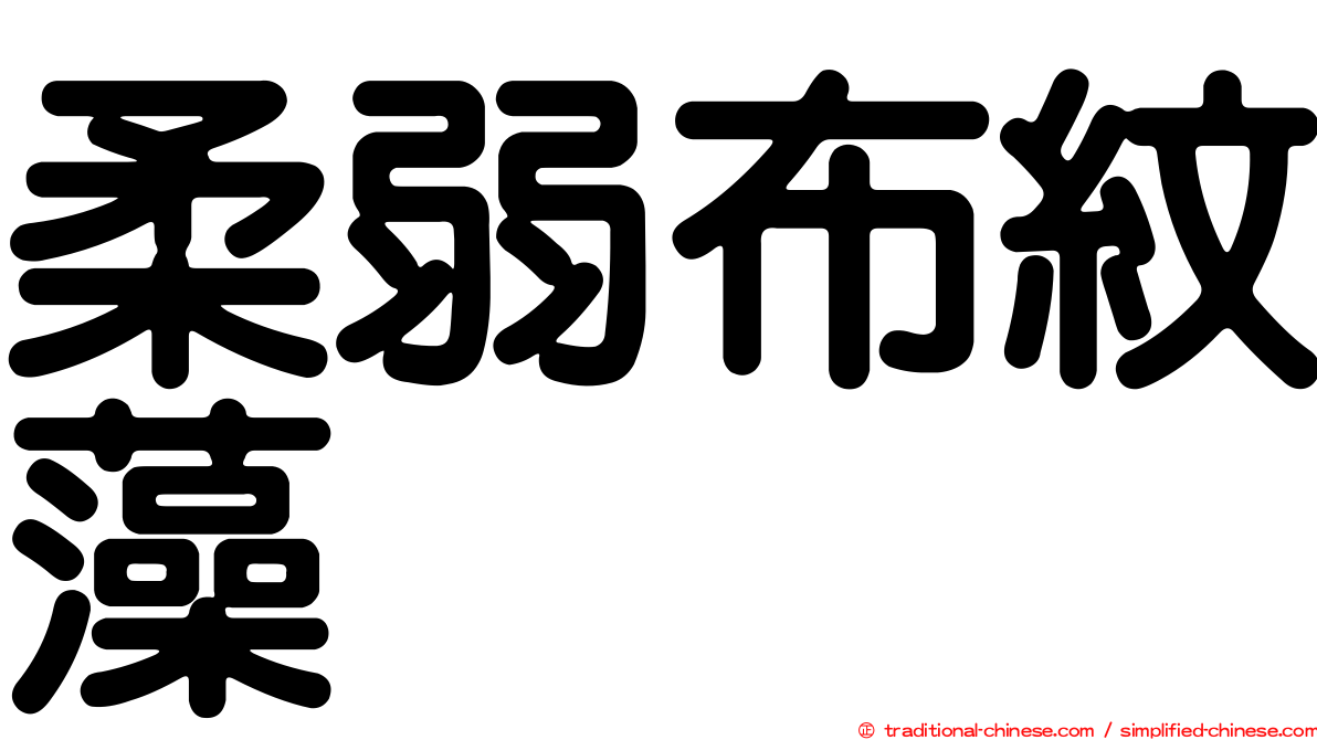 柔弱布紋藻