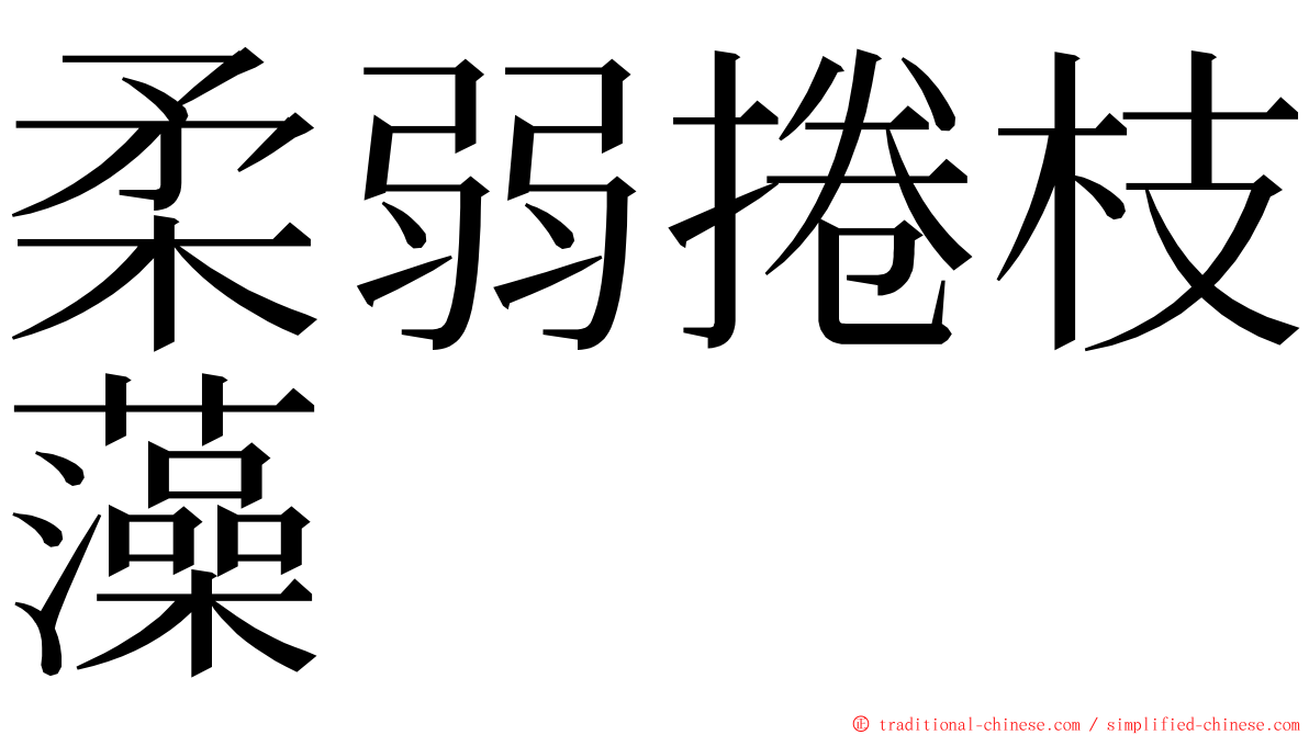 柔弱捲枝藻 ming font