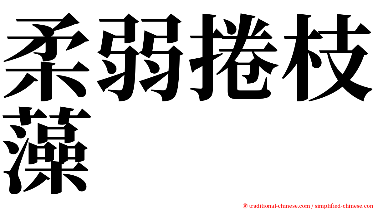 柔弱捲枝藻 serif font