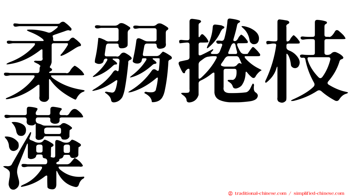 柔弱捲枝藻