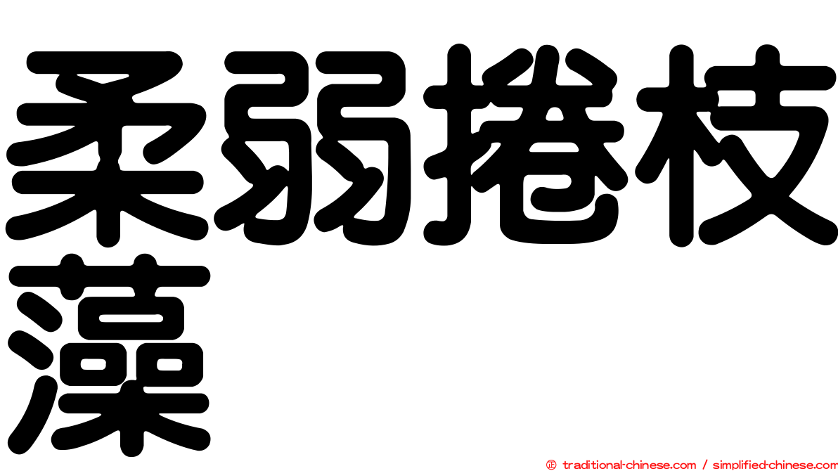 柔弱捲枝藻