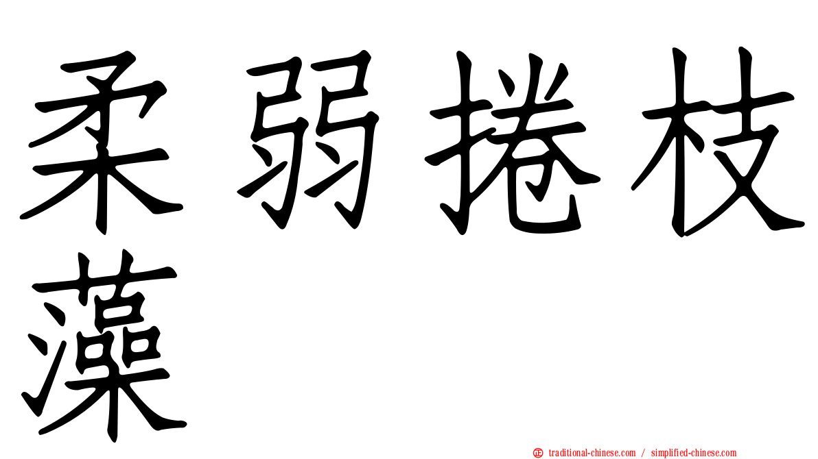 柔弱捲枝藻
