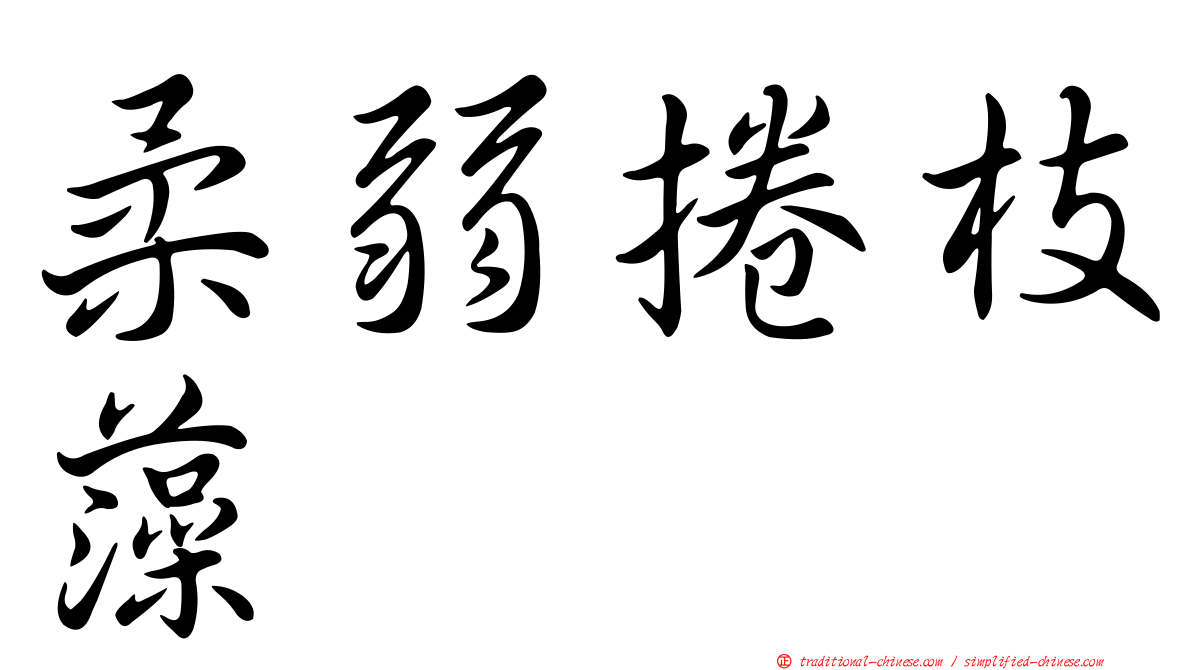 柔弱捲枝藻