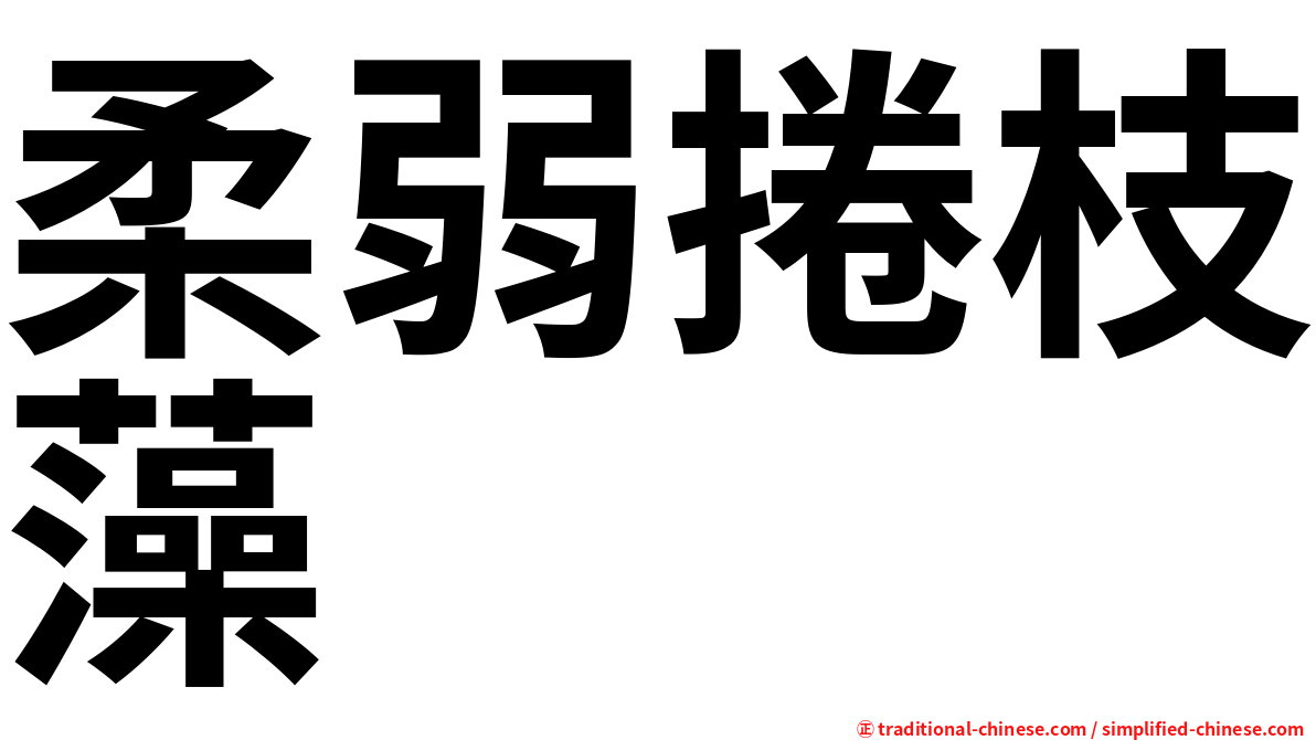 柔弱捲枝藻