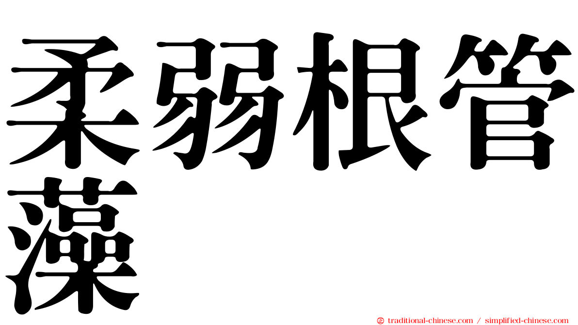 柔弱根管藻