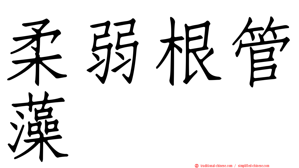 柔弱根管藻