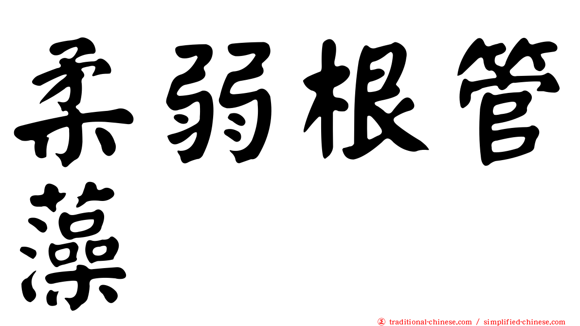 柔弱根管藻