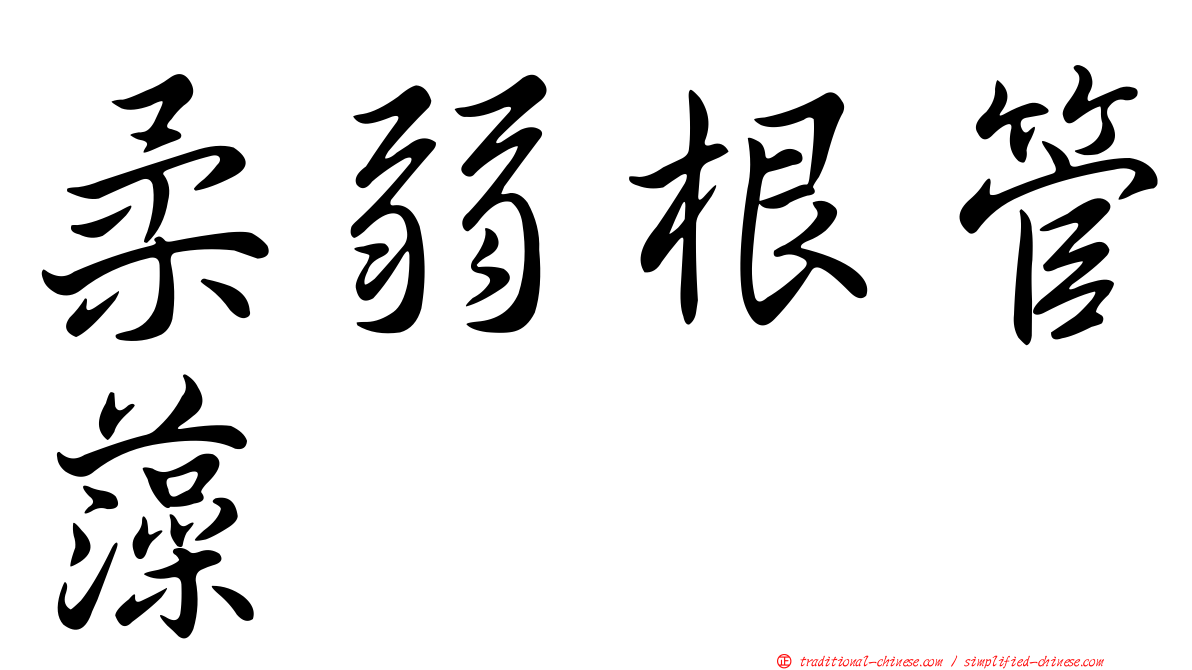 柔弱根管藻