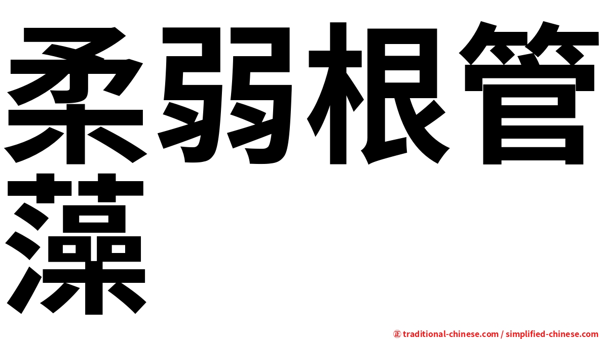 柔弱根管藻