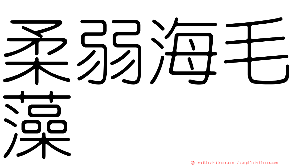 柔弱海毛藻