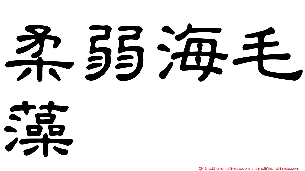 柔弱海毛藻