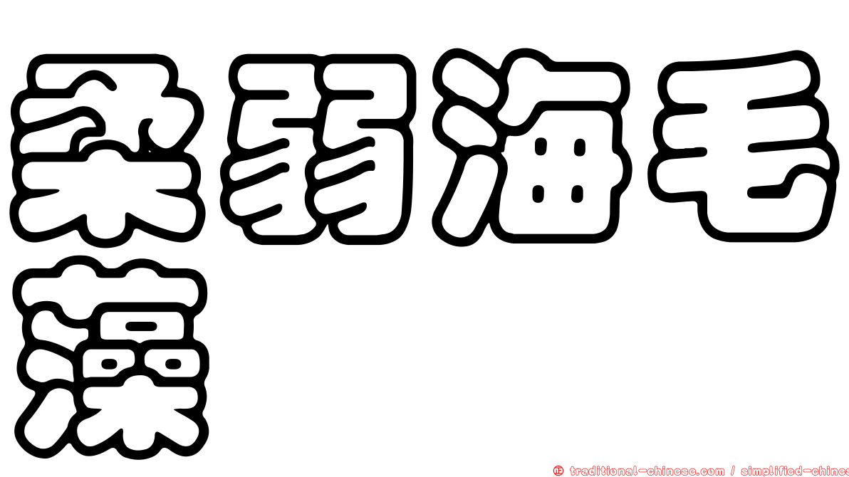 柔弱海毛藻
