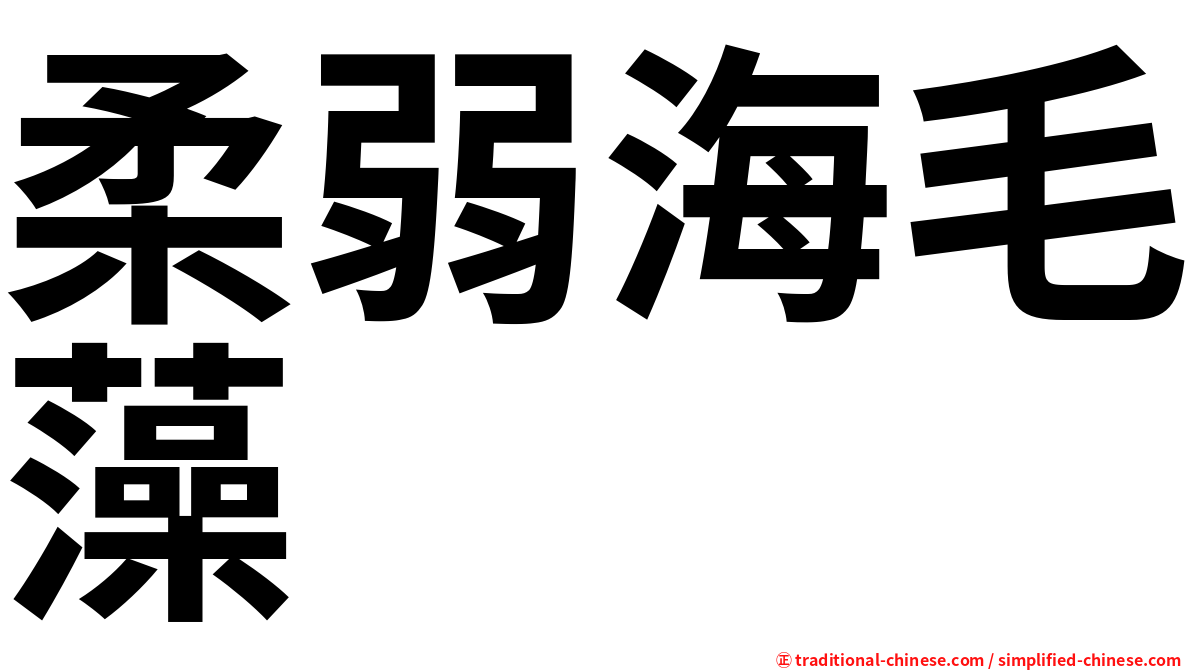 柔弱海毛藻