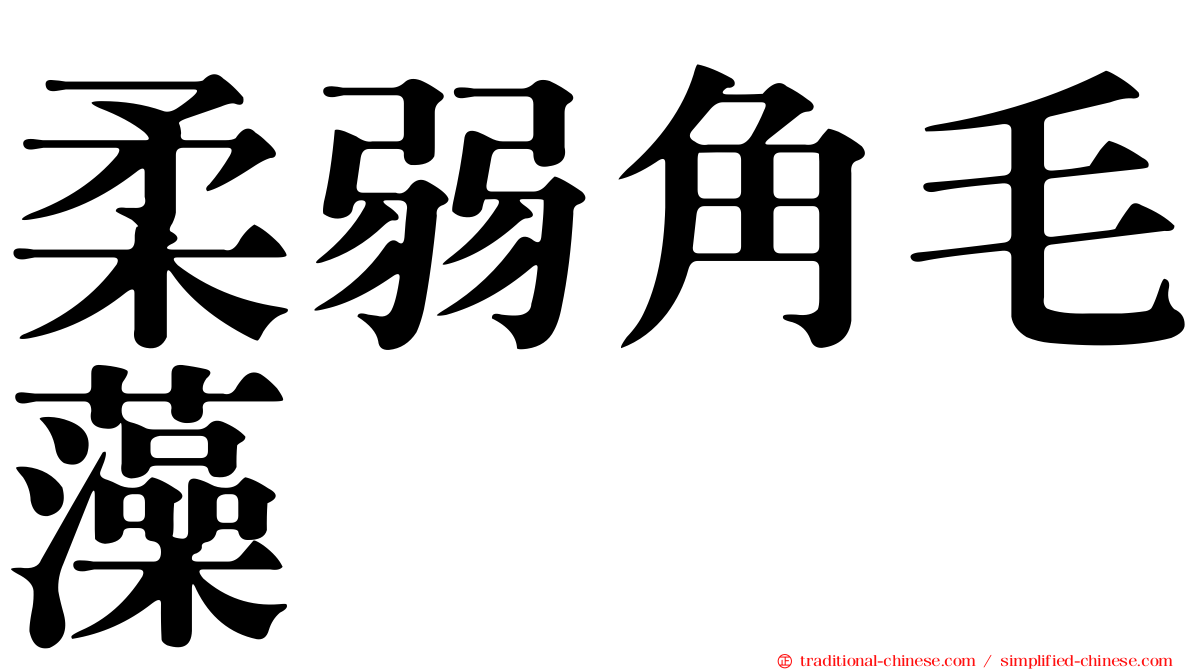柔弱角毛藻