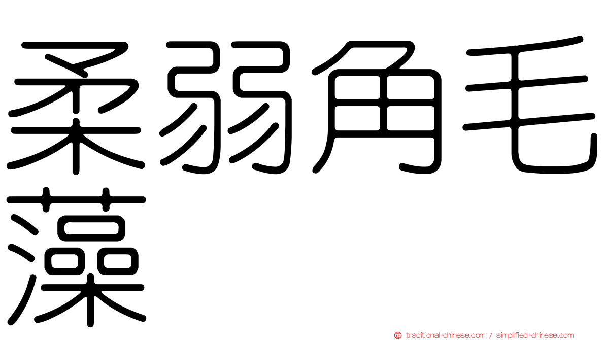 柔弱角毛藻