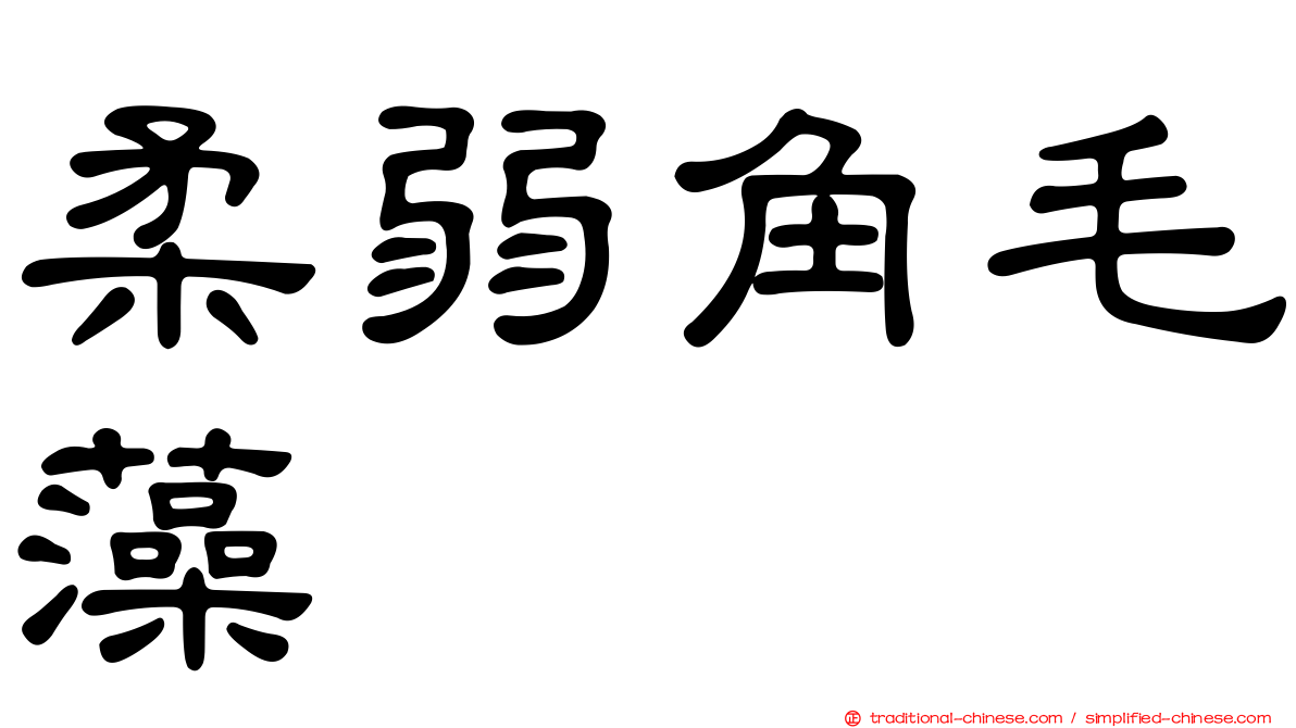 柔弱角毛藻