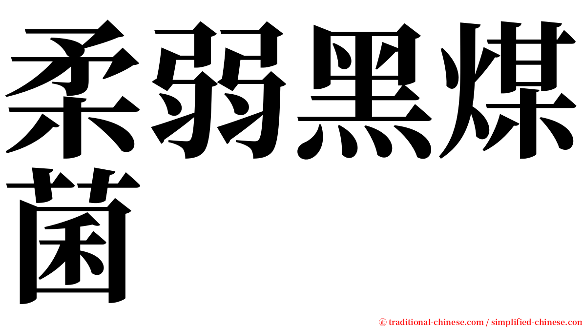 柔弱黑煤菌 serif font