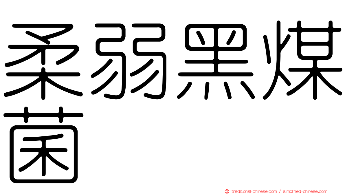 柔弱黑煤菌