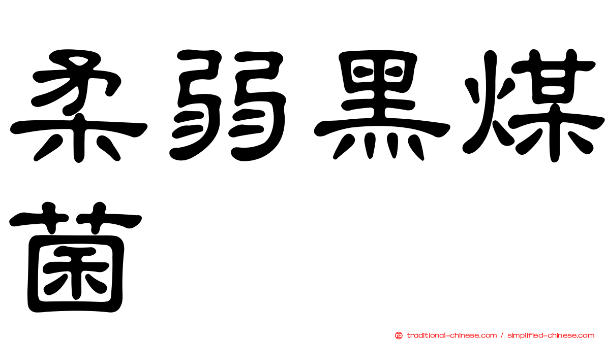 柔弱黑煤菌