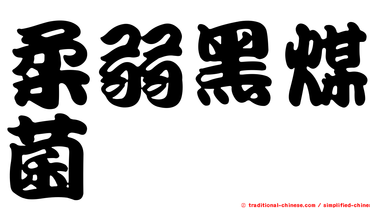 柔弱黑煤菌