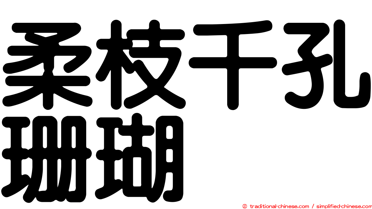 柔枝千孔珊瑚