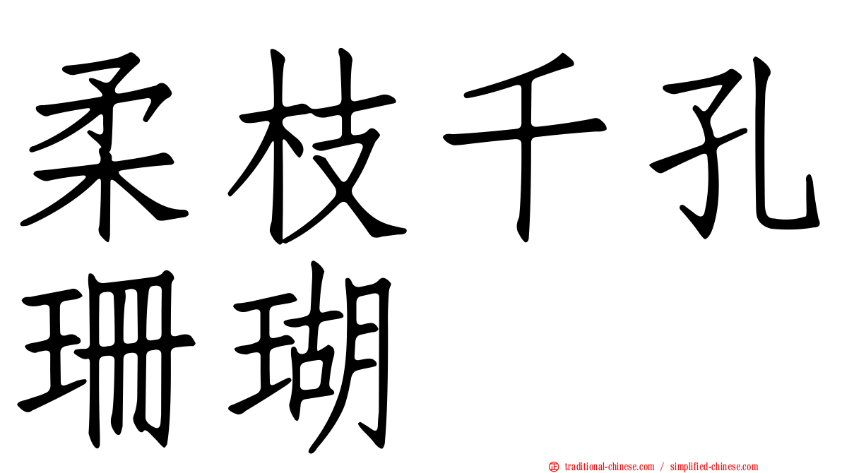 柔枝千孔珊瑚