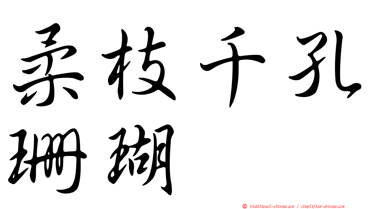 柔枝千孔珊瑚
