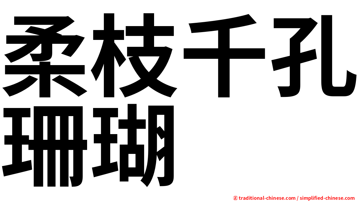 柔枝千孔珊瑚