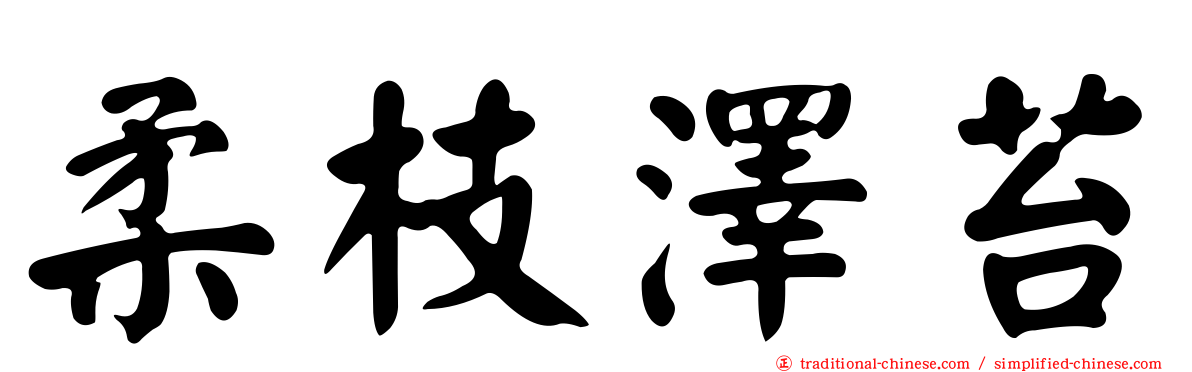 柔枝澤苔