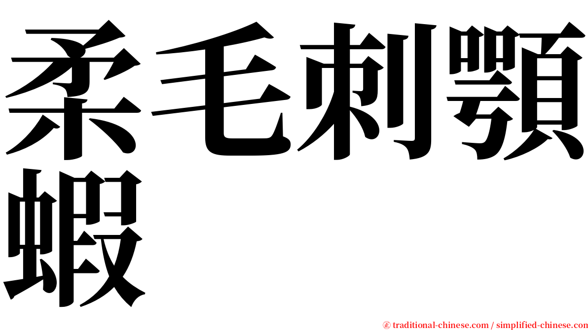柔毛刺顎蝦 serif font