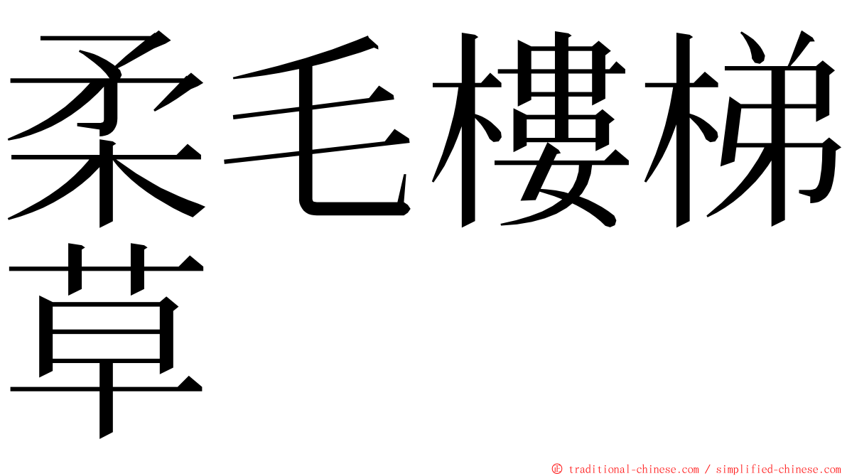 柔毛樓梯草 ming font