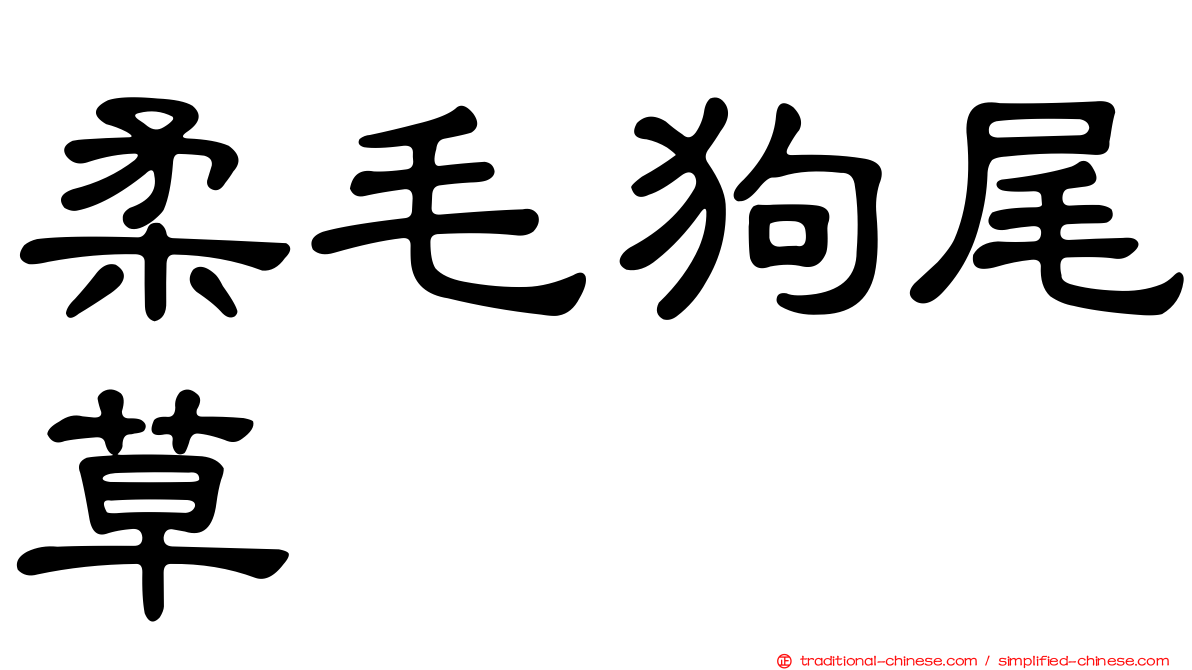 柔毛狗尾草