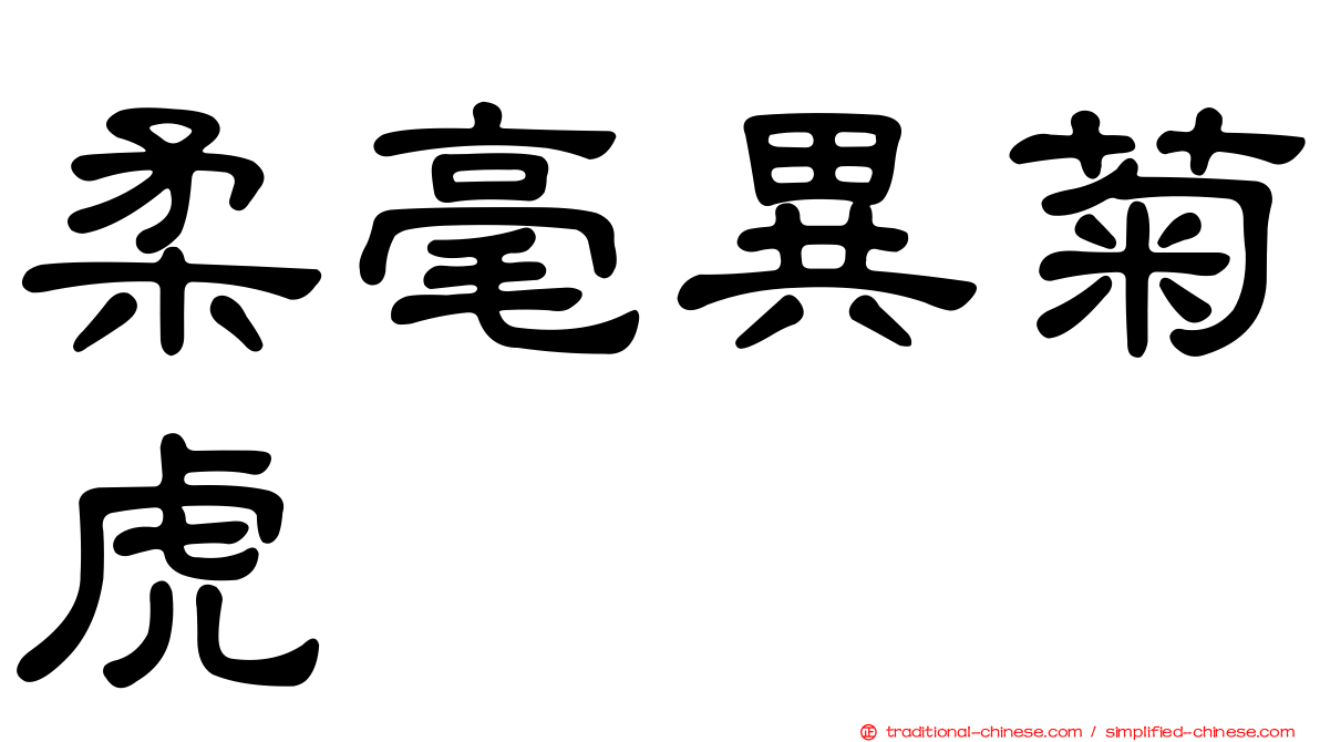 柔毫異菊虎