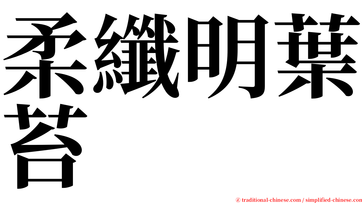 柔纖明葉苔 serif font