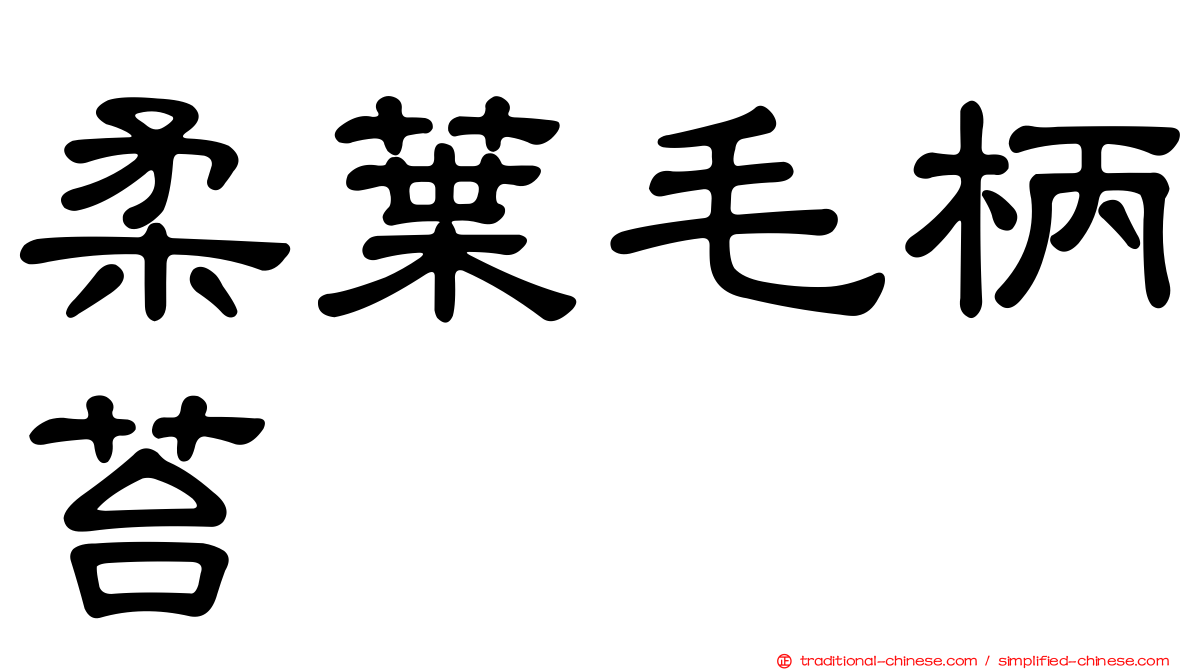 柔葉毛柄苔