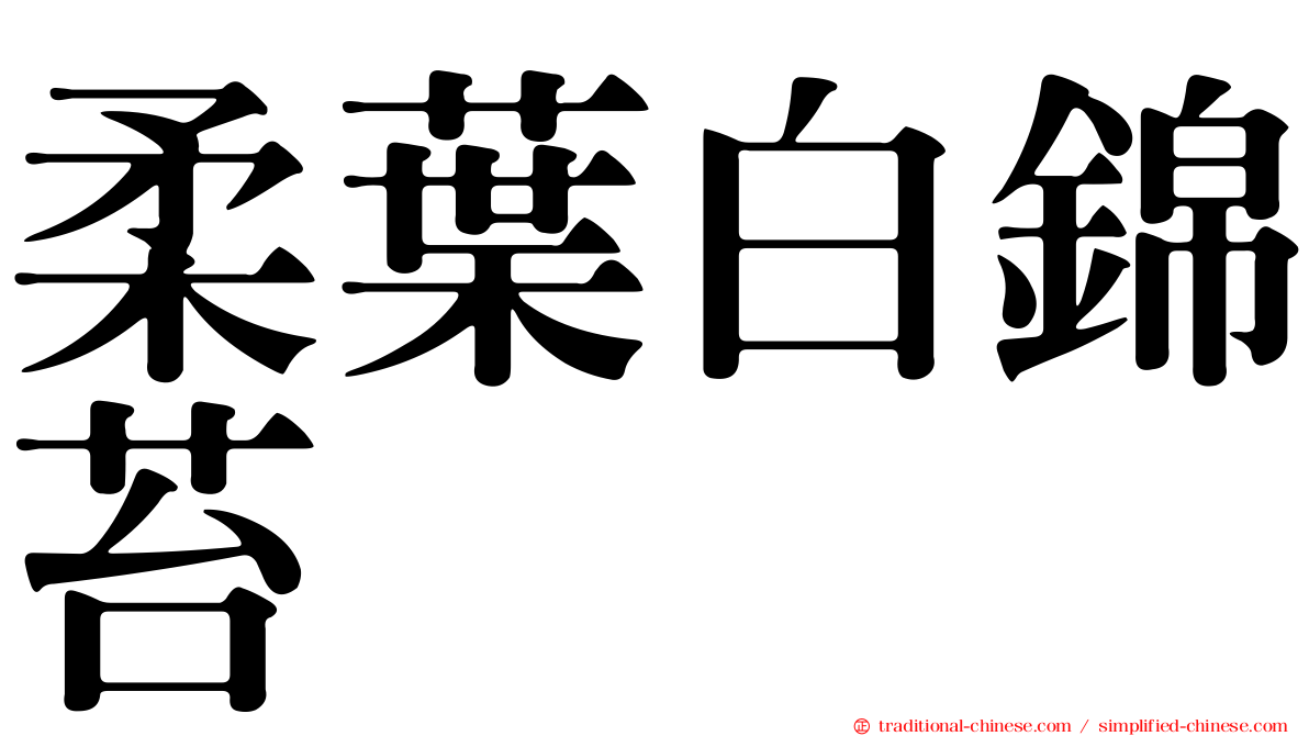 柔葉白錦苔