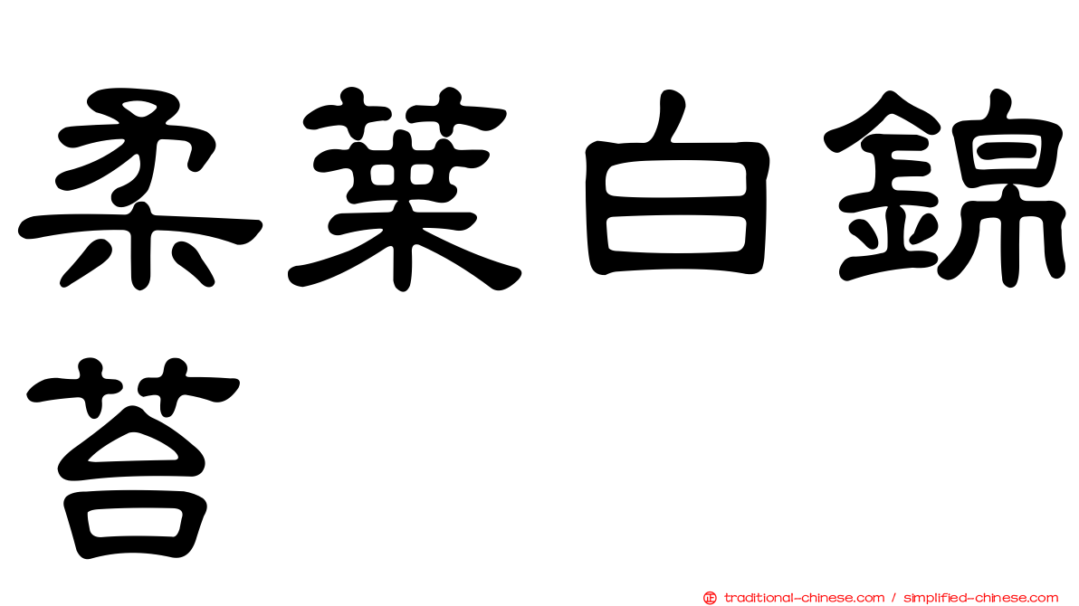 柔葉白錦苔